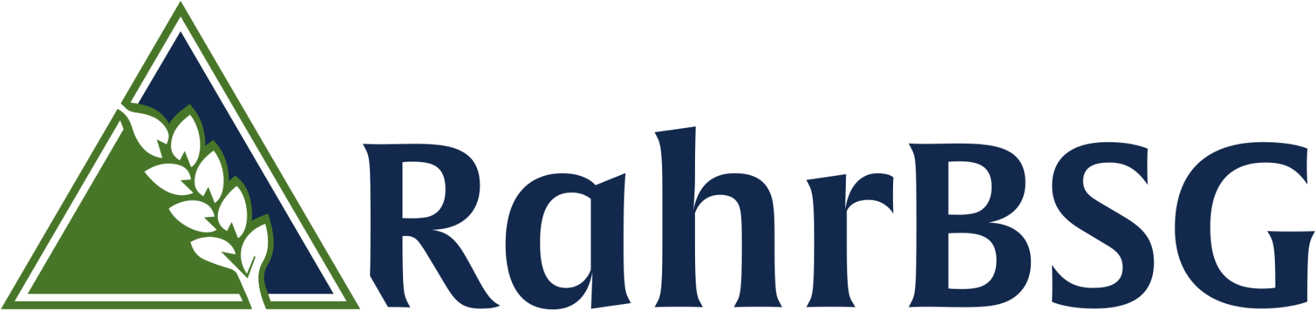 RahrBSG (Beer, Mead, Cider, Peary, Wine Homebrew Supplier)